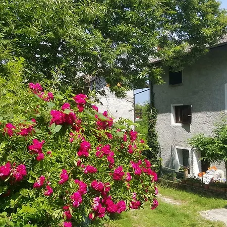Casa Ronit